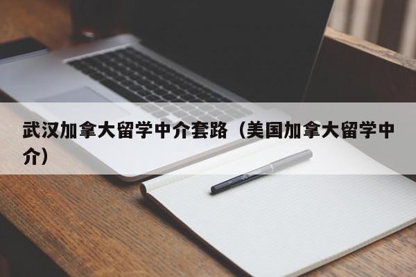 武汉加拿大留学中介套路(美国加拿大留学中介)